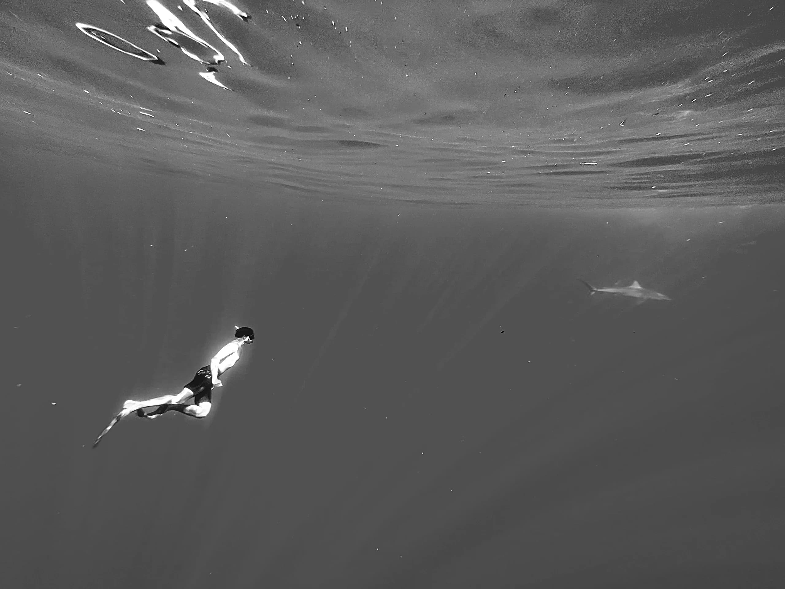 Overhead black and white shot of a swimmer in open water, a shark passing further out.
